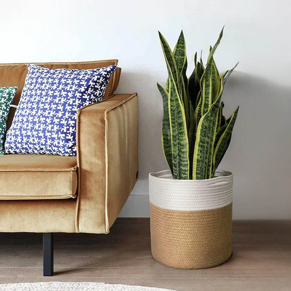  Two-tone cotton rope plant basket in beige and white, housing a snake plant beside a modern tan sofa.