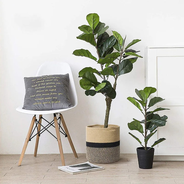  Large fiddle leaf fig in a jute and black woven cotton rope basket beside a modern white chair with cushion.