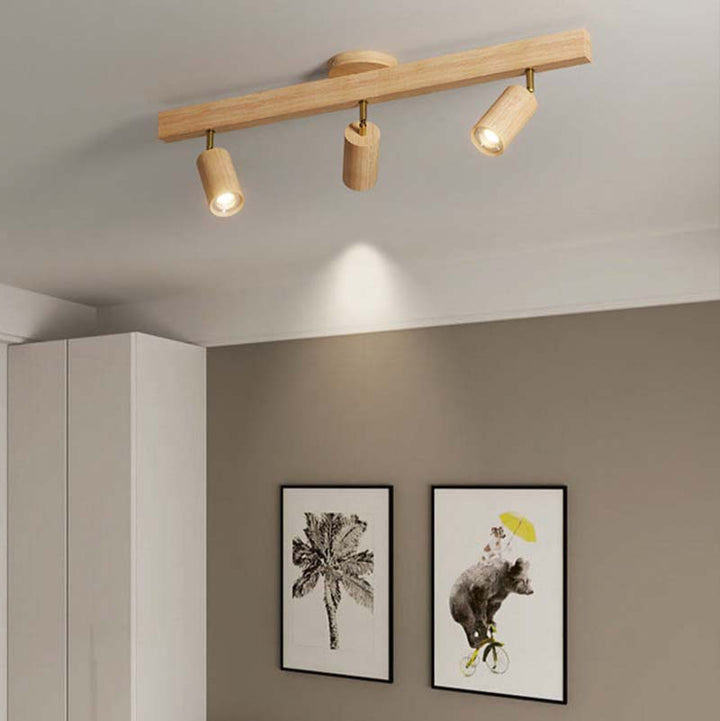 Ceiling light fixture with three lights on a ceiling, with two framed artworks on the wall below.