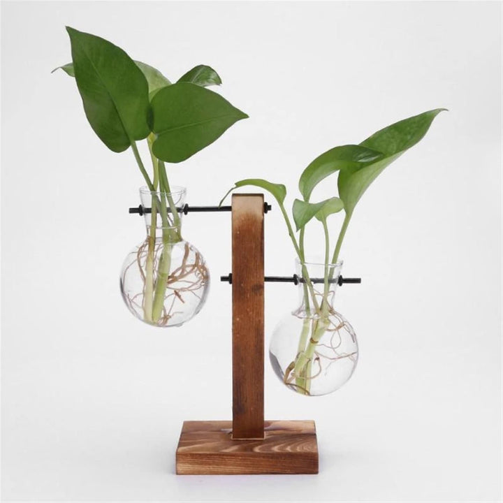 Vertical wooden stand with staggered double bulb glass vases, 19cm tall, for propagation or minimalist uk home decor.