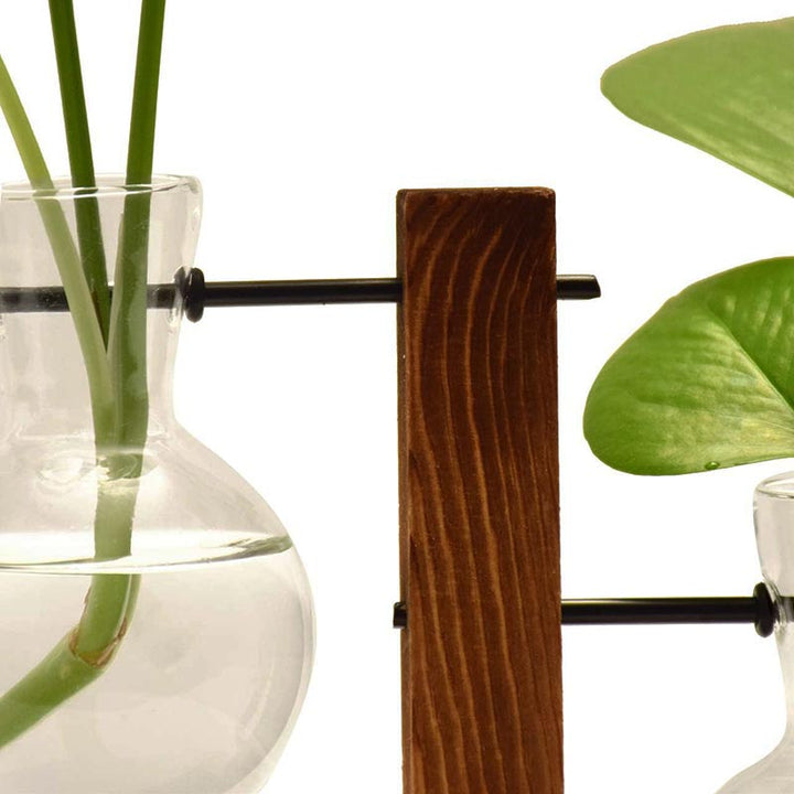Close-up of wooden frame holding two bulb glass vases with green plant cuttings, showcasing handmade quality.