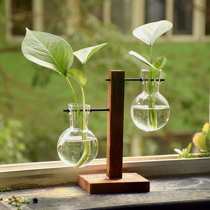  Hydroponic propagation station with two glass vases and wood stand, displayed on windowsill with leafy plants.