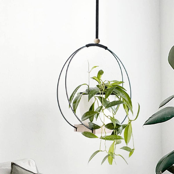 Indoor hanging planter with round black metal frame and pine wood shelf, decorated with lush trailing green plant in a white pot.