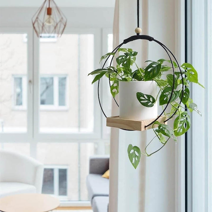  Circular macrame hanging plant holder with light wood base and leafy monstera in white ceramic pot, styled by a window for modern interior decor.