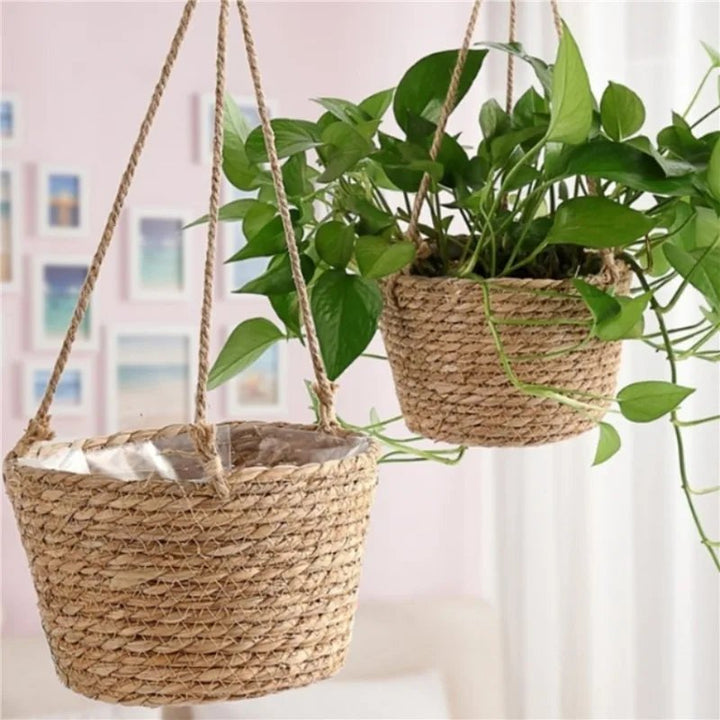 Two hanging planters with green plants against a blurred indoor background