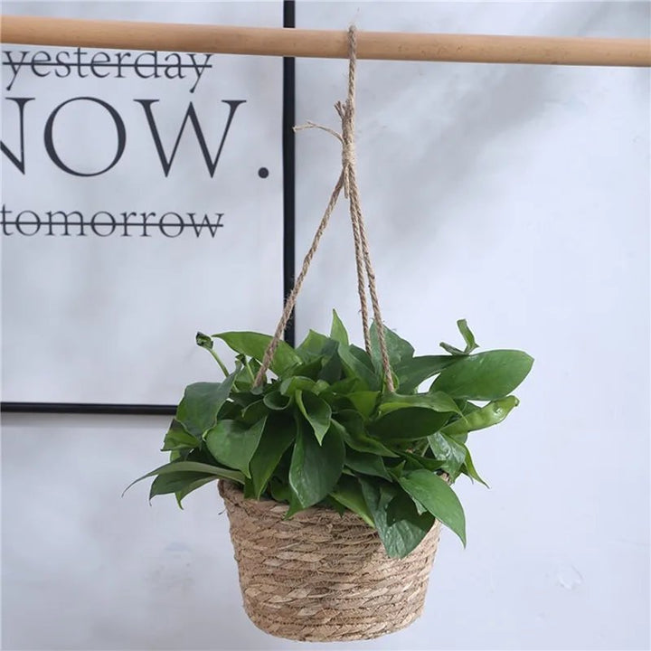 Hanging green plant in a woven basket with a motivational poster in the background.