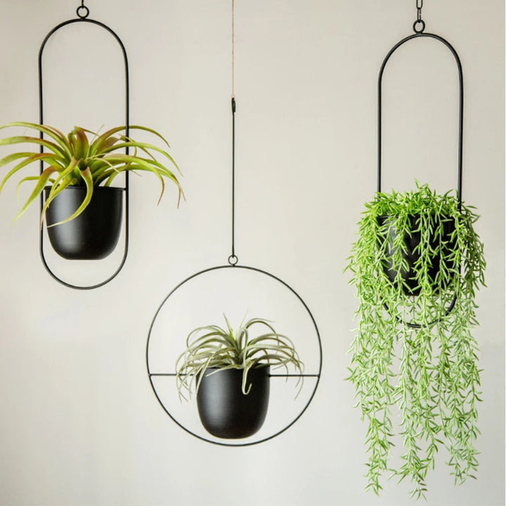 Three hanging planters with green plants on a plain background