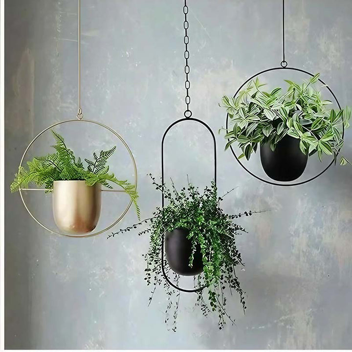 Three hanging planters with green plants against a light gray background