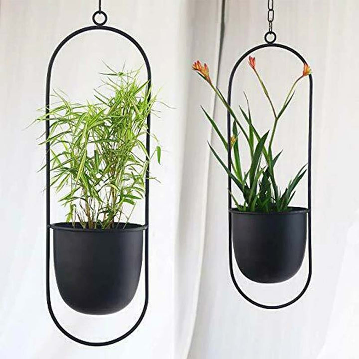 Two black oval hanging planters with plants on a white background