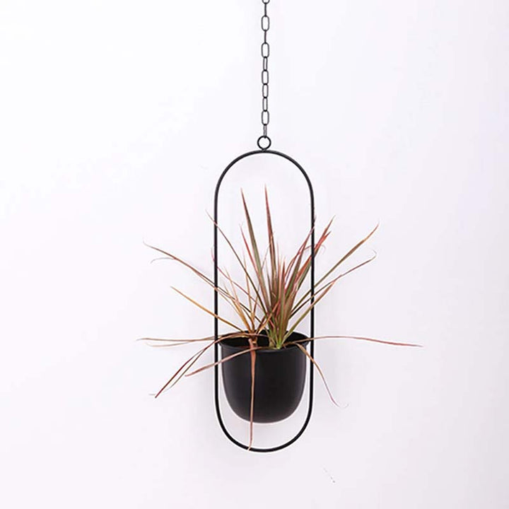 Hanging black oval planter with a plant on a white background