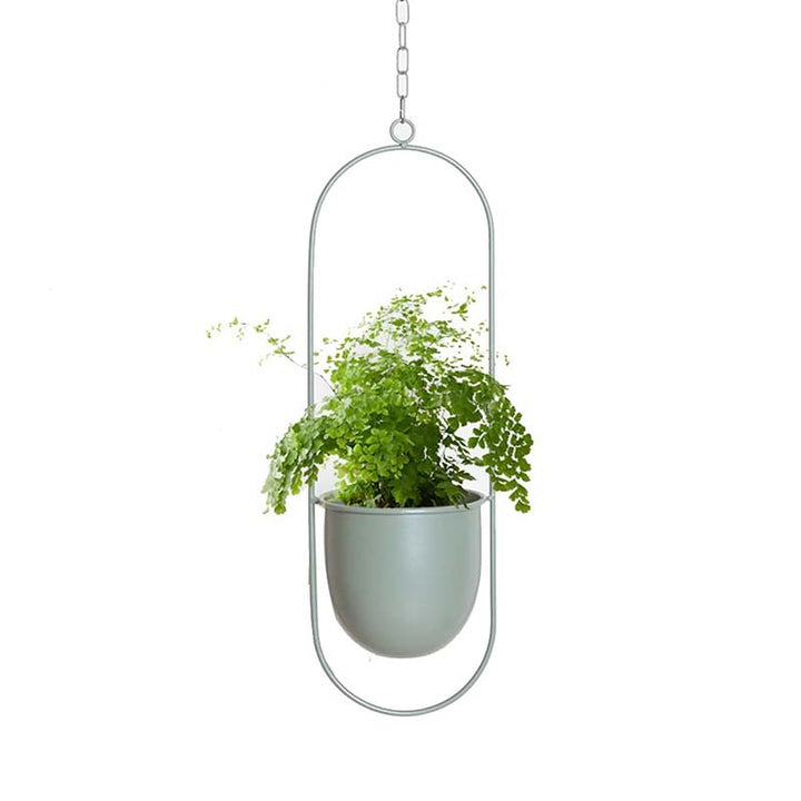 Hanging plant in a olive green oval pot with a metal frame on a white background
