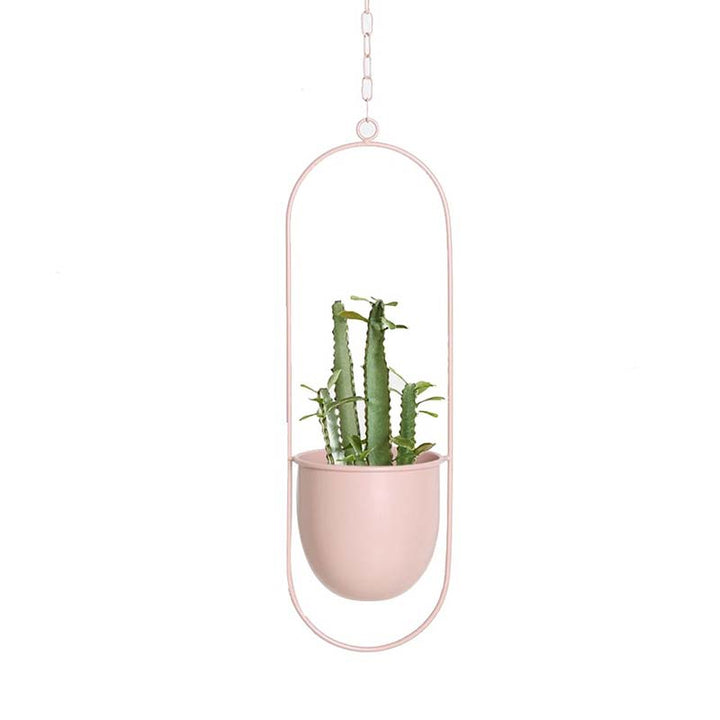 Pink hanging oval planter with a cactus on a white background