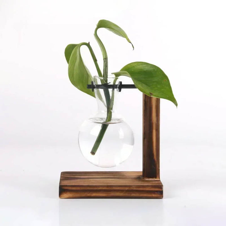 Compact bulb glass vase with wooden L-stand, styled with pothos cuttings for modern Nordic desktop plant decor.