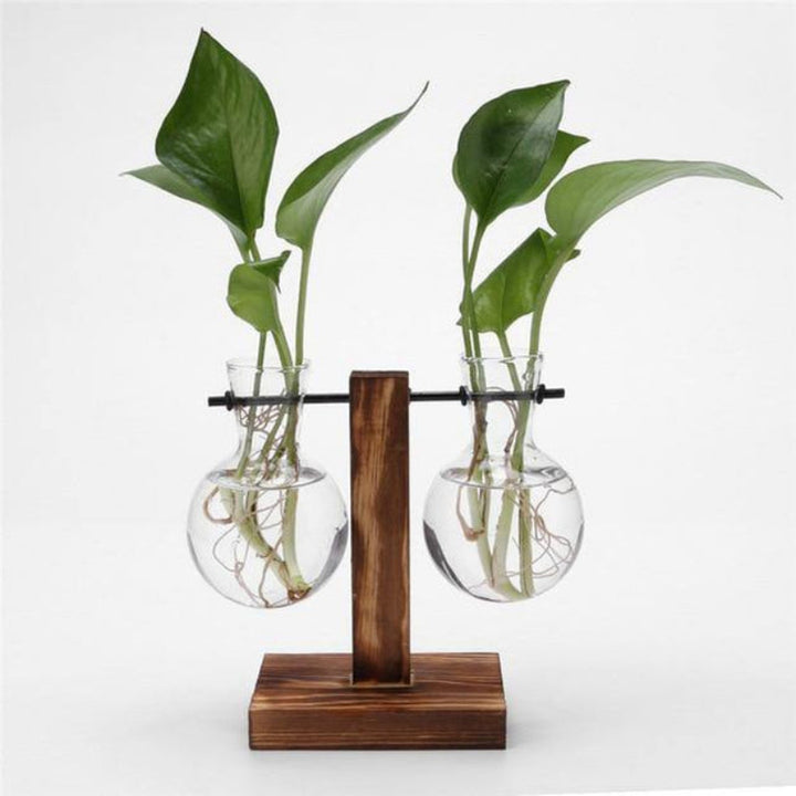 Vertical wooden stand with staggered double bulb glass vases, 19cm tall, for propagation or minimalist home decor.