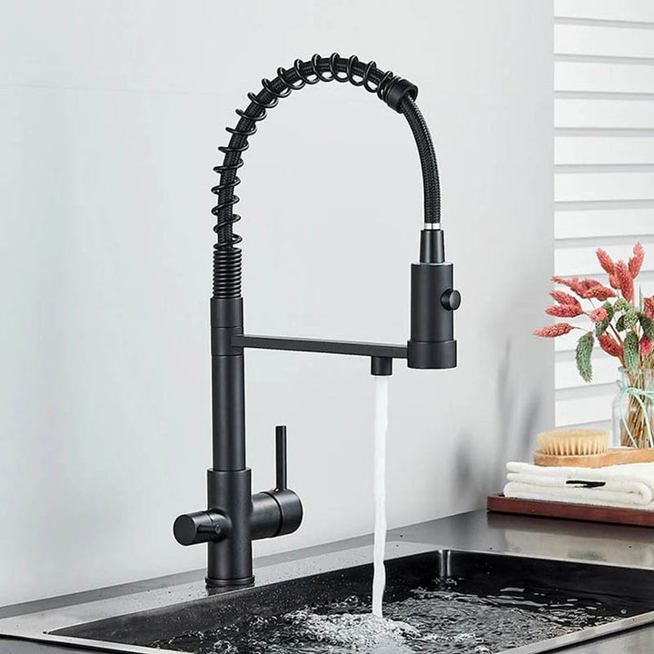 Modern pull-out kitchen faucet with black hose, dual outlet in black matte for filtered and tap water, ideal for UK home or bar sinks. Type 2