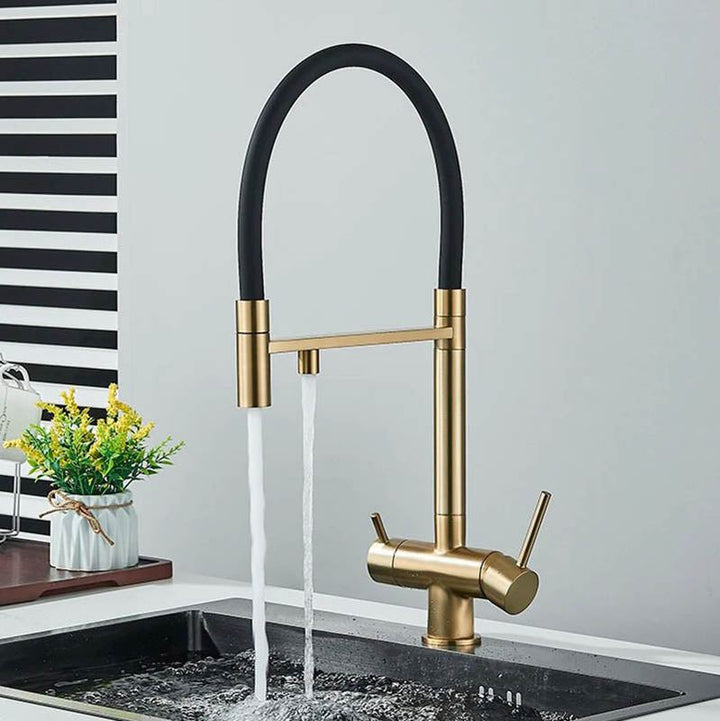 Modern pull-out kitchen faucet with black hose, dual outlet in brass gold for filtered and tap water, ideal for UK home or bar sinks