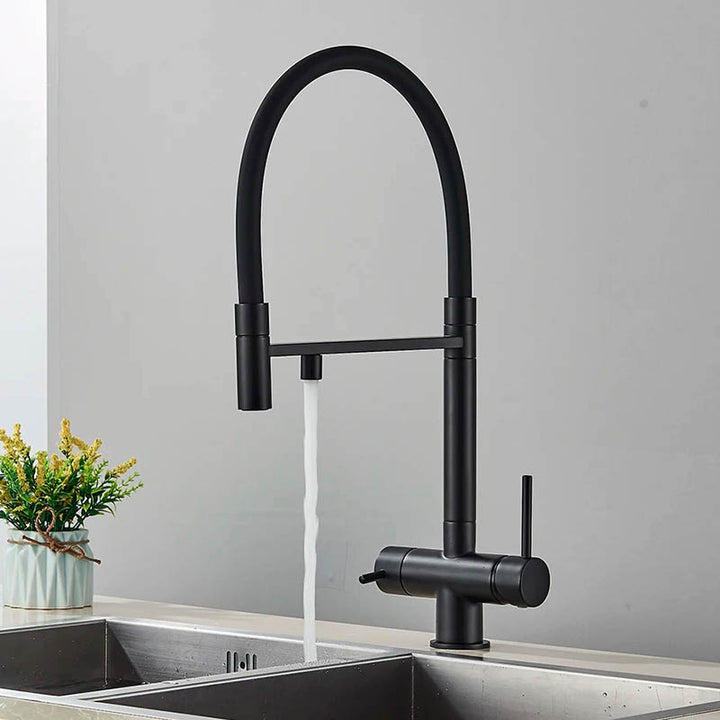 Modern pull-out kitchen faucet with black hose, dual outlet in matte black for filtered and tap water, ideal for UK home or bar sinks