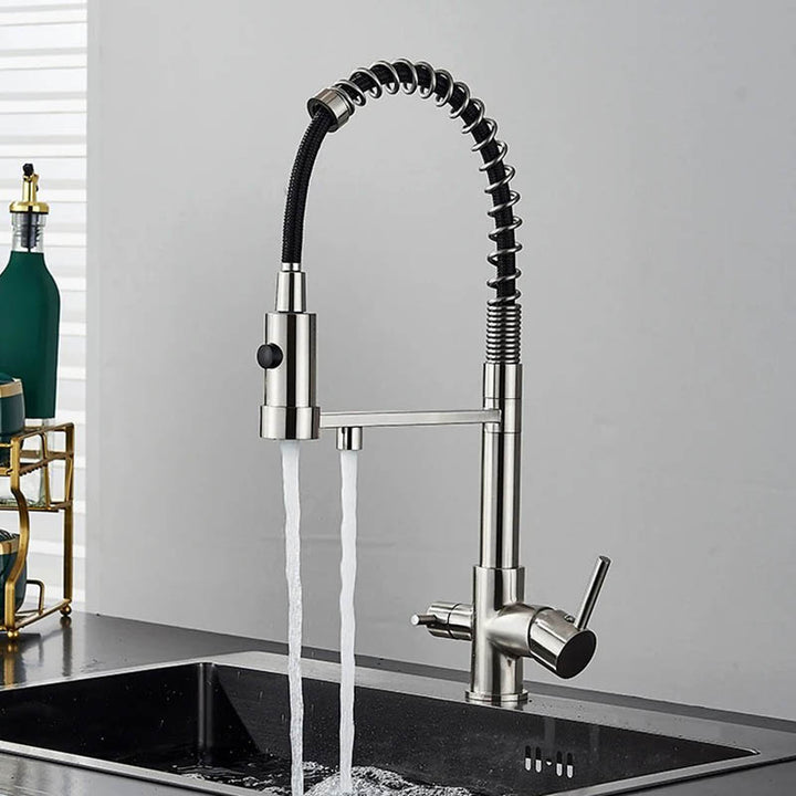 Modern pull-out kitchen faucet with black hose, dual outlet in brushed nickel for filtered and tap water, ideal for UK home or bar sinks