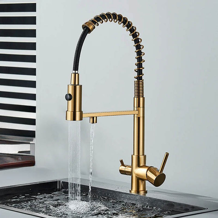 Modern pull-out kitchen faucet with black hose, dual outlet in brass brushed gold for filtered and tap water, ideal for UK home or bar sinks