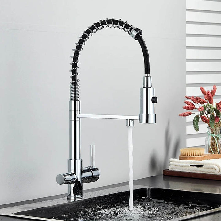 Modern pull-out kitchen faucet with black hose, dual outlet in polished silver for filtered and tap water, ideal for UK home or bar sinks