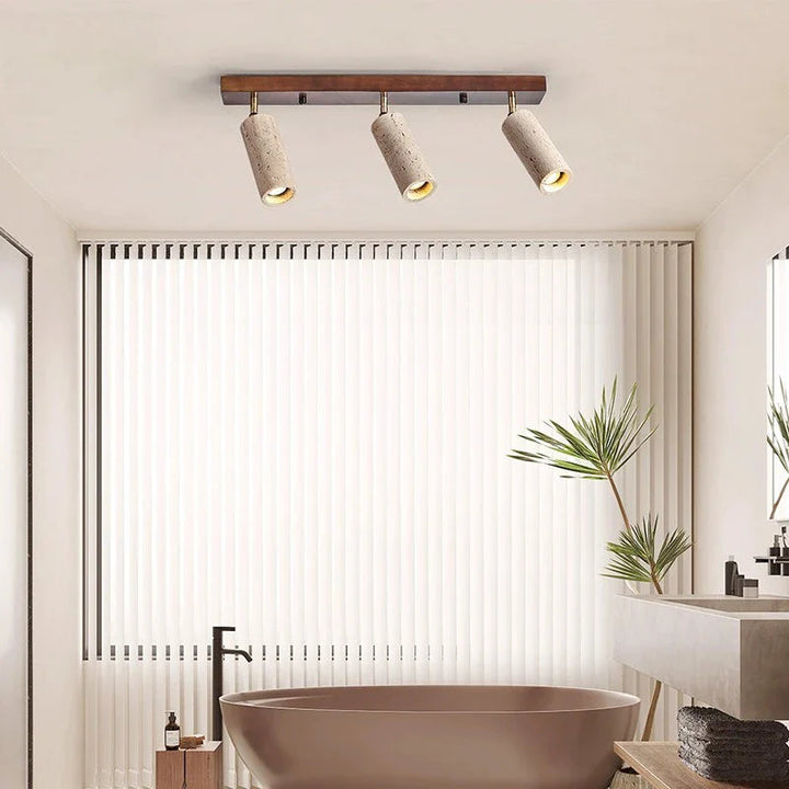 Modern bathroom with a freestanding bathtub, ceiling lights, and a plant.