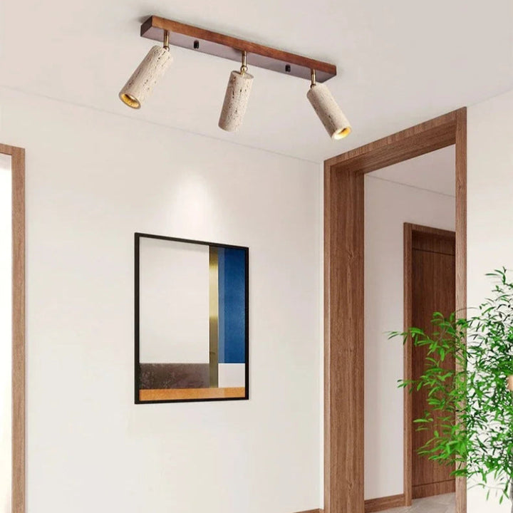 Modern ceiling light fixture in a room with a mirror and plant