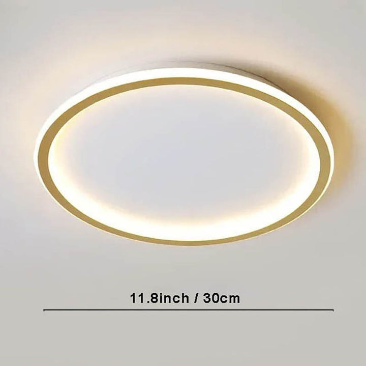 Contemporary gold 30cm Nordic LED ceiling light with remote, circular flush mount for modern bedroom or hallway lighting