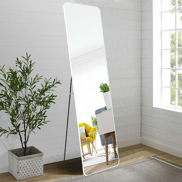 Full-length mirror leaning against a wall in a room with a plant and window.